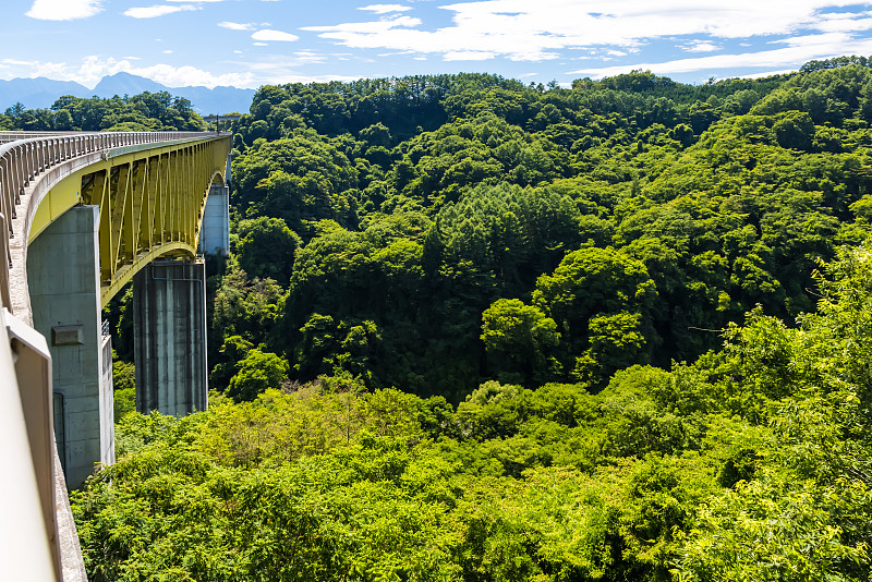 Yatsugatake koogen Ohashi在夏天的风景2