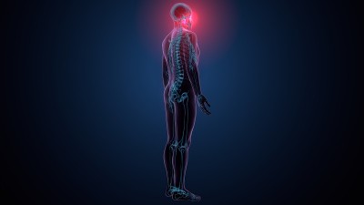 人体骨骼、颅骨、颞骨解剖的三维插图