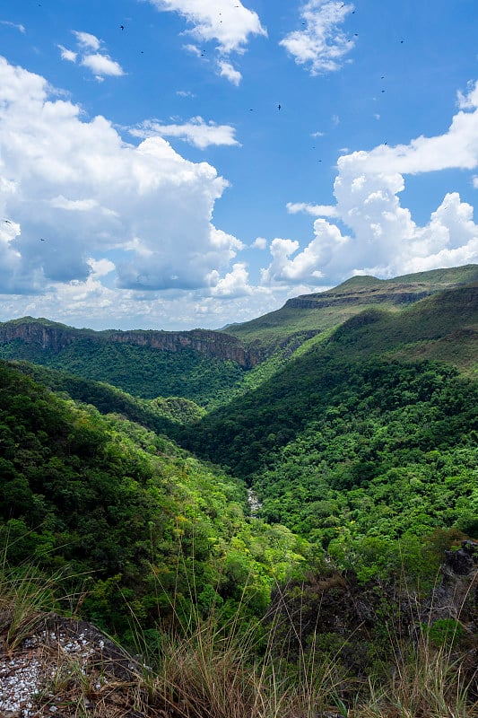 Veadeiros的Chapada dos Veadeiros