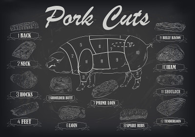 猪肉猪侧胴体切割信息图形方案符号矢量插图
