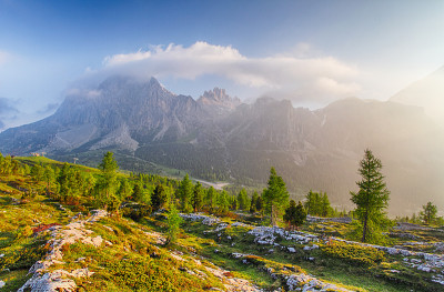 树在日出的背景大山