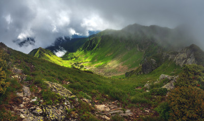 山
