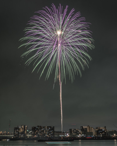 日本烟花在东京夏季节日期间