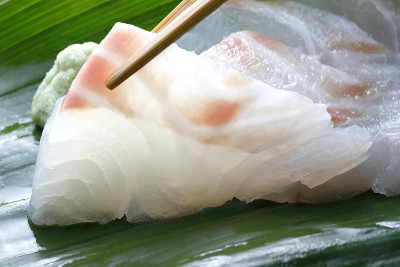 海鲷刺身