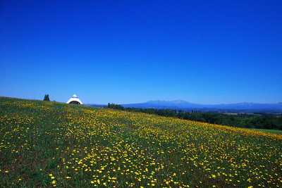 花田在北