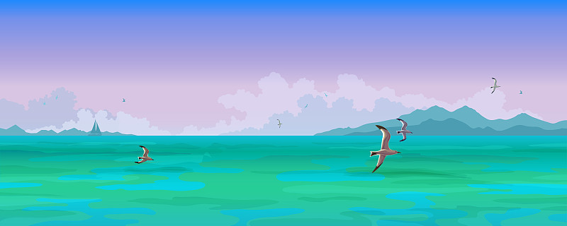 海景。帆船和海鸥在飞翔