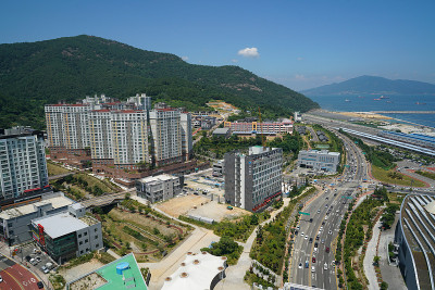 韩国柳苏、约拉南多