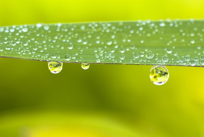 雨滴