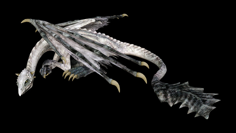 3D插图幻想龙在黑色