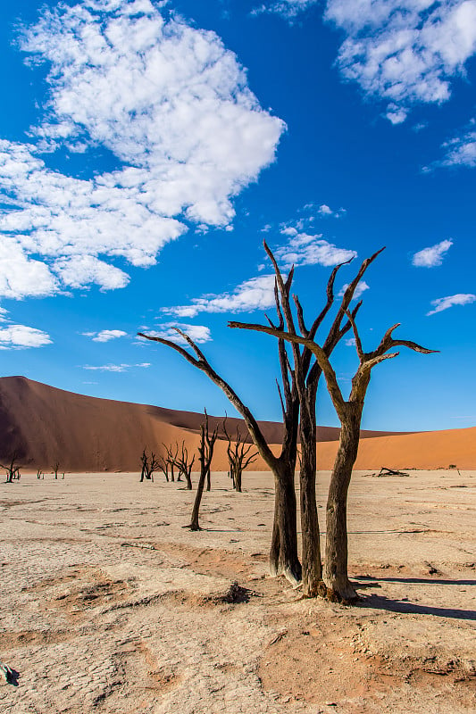 Deadvlei、纳米比亚