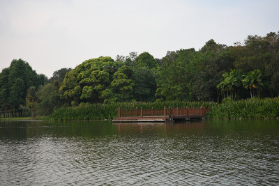 布特拉贾亚湿地湖的景色