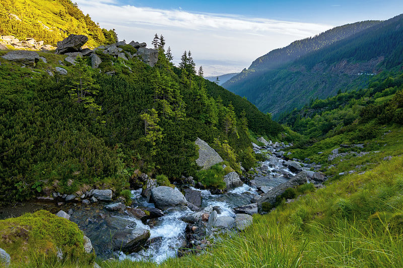 高山中的贝勒溪流