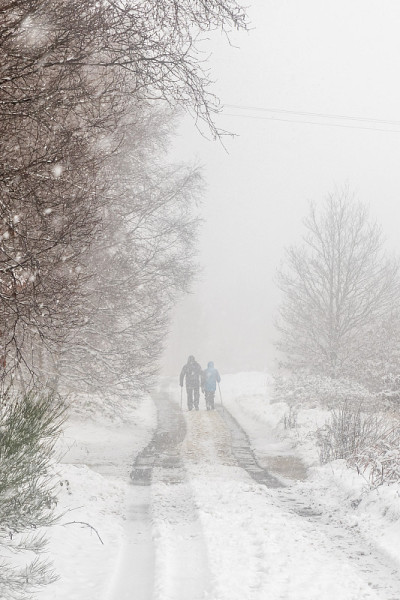 雪覆盖了道路