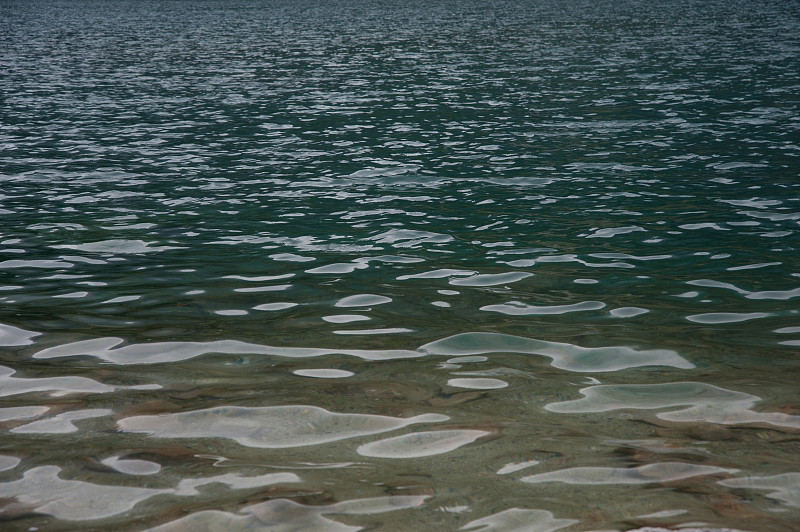 河水质地