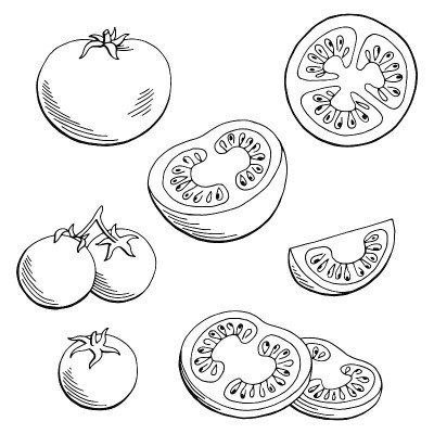 番茄图形黑白孤立素描插图矢量