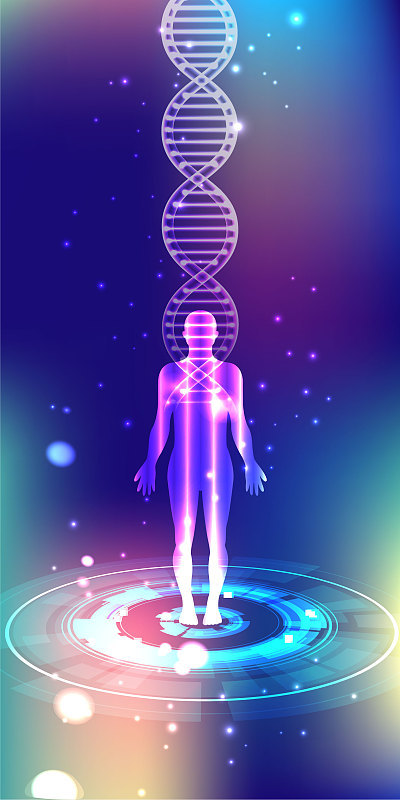摘要载体图中的载体DNA结构。