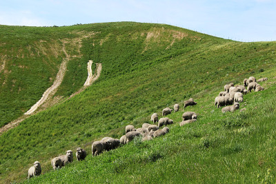 在Wither Hills农场徒步旅行