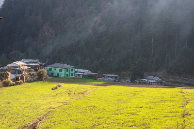 这张照片拍摄于喜马拉雅地区——在山区耕作