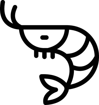 虾