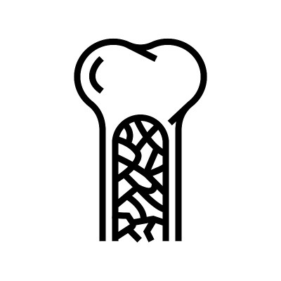 骨髓线图标矢量插图