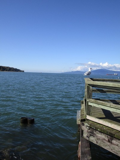 秋天耶利哥海滩海岸和码头风景，加拿大