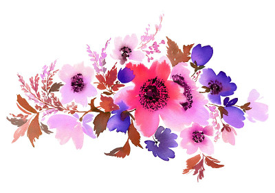鲜花水彩插图