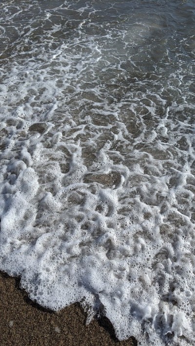 太平洋波(photo5)