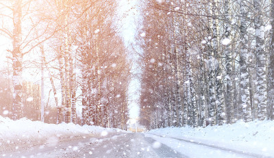 冬天的风景被雪覆盖了大片。冬天在公园里