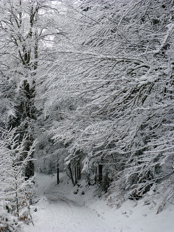 雪山