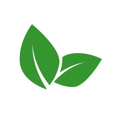 素食载体标签概念。绿叶孤立在白色背景上。