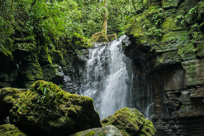 Misahualli