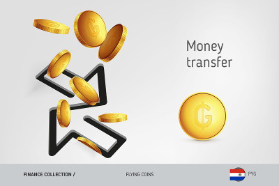 汇款图标与飞瓜拉尼，金融概念。矢量插图印刷，网站，网页设计，移动应用程序，信息图表。