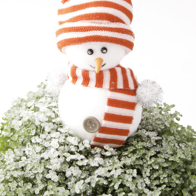 雪人