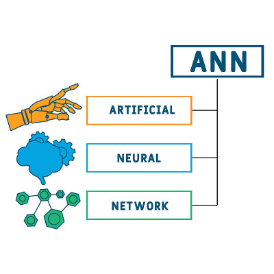 ANN -人工神经网络的缩写。
