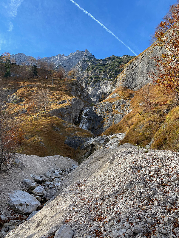 森林徒步旅行