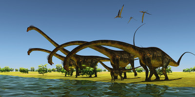 侏罗纪恐龙Barosaurus