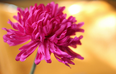 纺织花