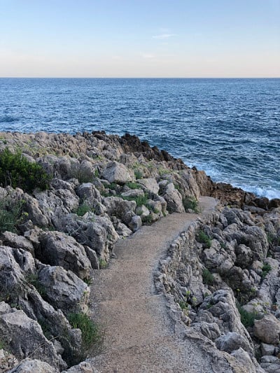 d' anti - Bay