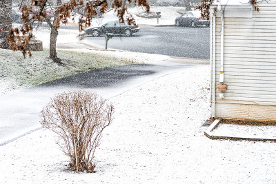 从窗户看暴风雪，暴风雪，下雪的天气与橡树树枝覆盖在后院，前院的房子，街道，居民区，灌木丛，汽车在费尔