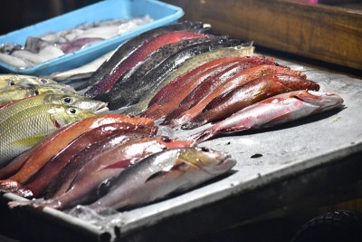 夜市上有各种新鲜的鱼和海鲜