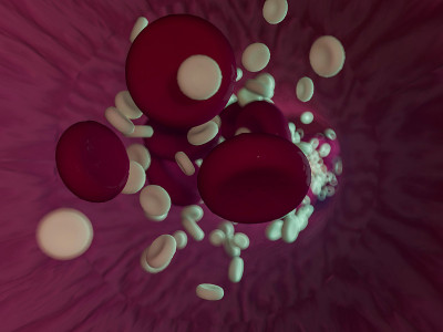 红细胞。科学说明血液。3 d