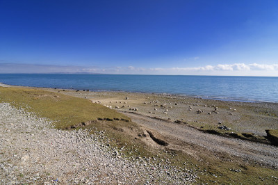 青海湖