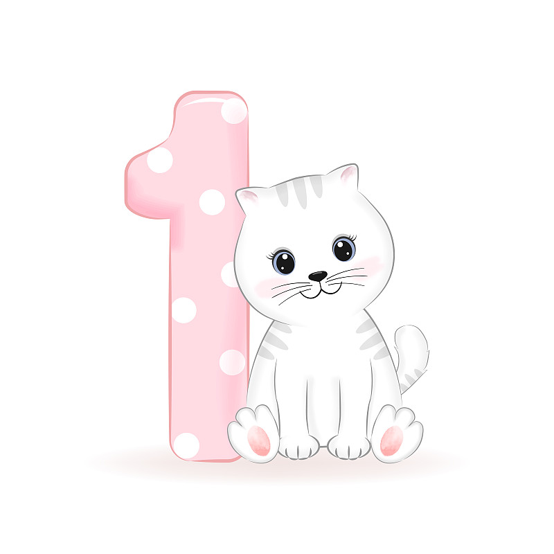 可爱的小猫，生日快乐1岁