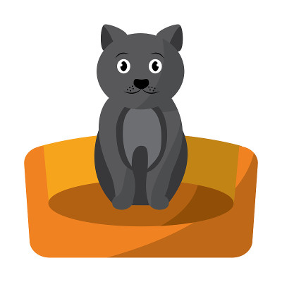 宠物猫在床上