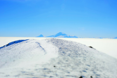 山