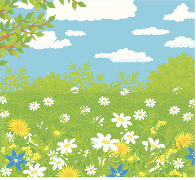 场用鲜花