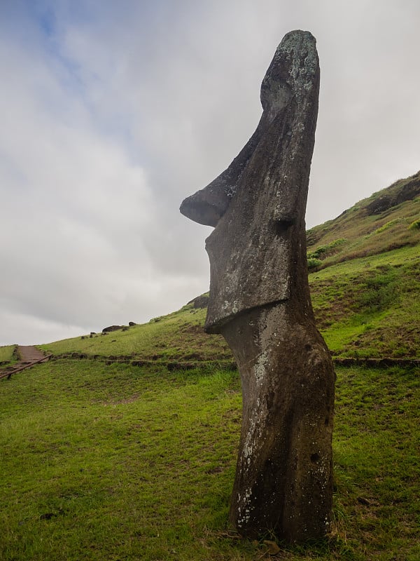 拉拉库火山，石像的采石场，有许多未完成的雕像。拉帕努伊国家公园，复活节岛，智利。联合国教科文组织世界