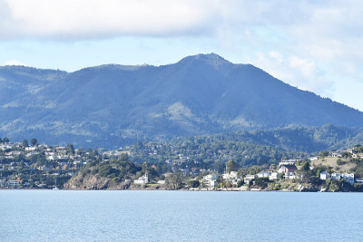 美丽的Tamalpais山风景从Tiburon在马林县高质量