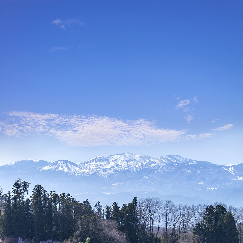 冬季的Mounten Zao国家公园，宫城县，日本。