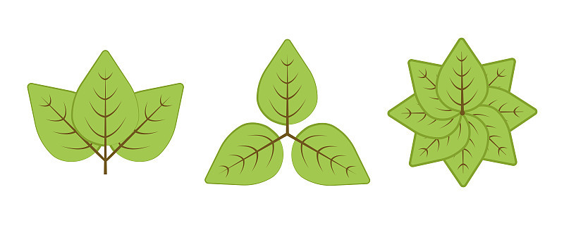 草，树和树枝矢量图标集。包含植物、叶子等符号。